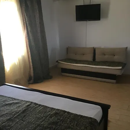 ゲストハウス Casa Lacul Sarat テキルギオル